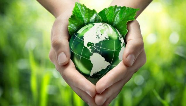 Thế nào là sản phẩm xanh Eco thân thiện môi trường? 1 moi truong